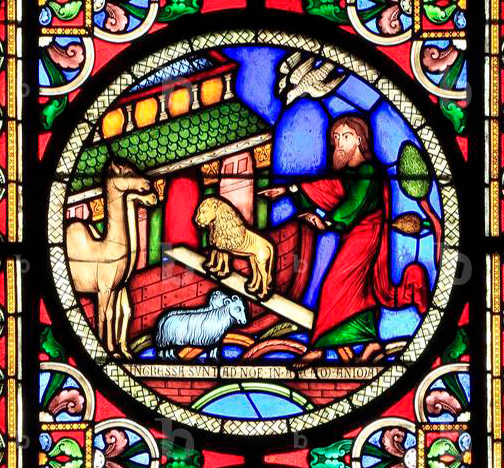 Lire la suite à propos de l’article L’arche de Noé